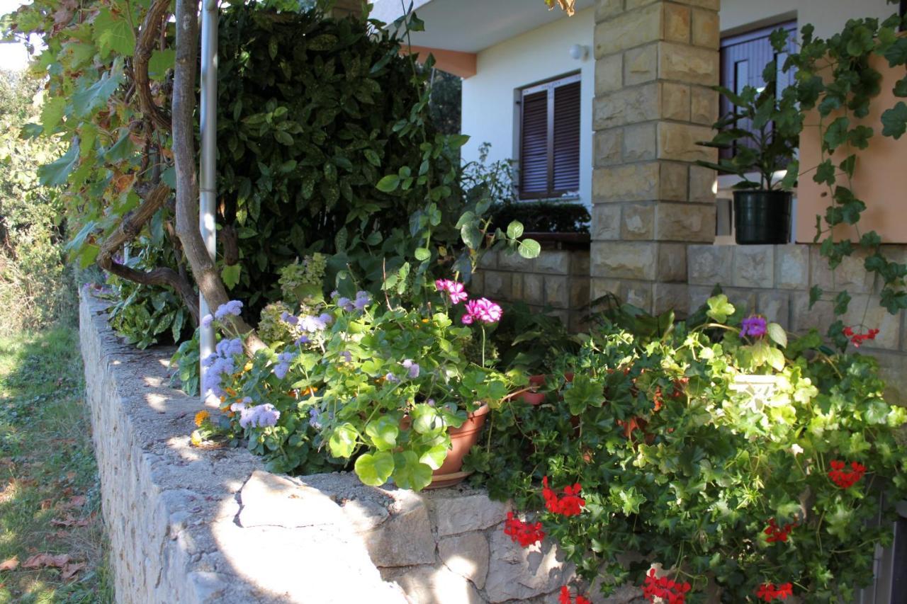 Family Friendly Seaside Apartments Kozino, Zadar - 5749 Petrcane Exterior photo